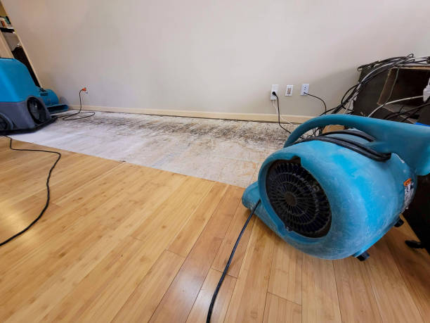 Professional Water Removal technician working in Georgetown, GA